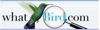 Birdmilwaukee.com