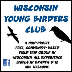 Wisconsin Young Birders Club